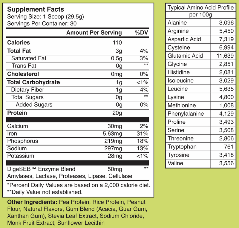 Vegamin Vegan Protein 2lb